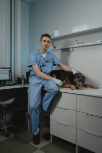 Burnout in Veterinary Medicine 